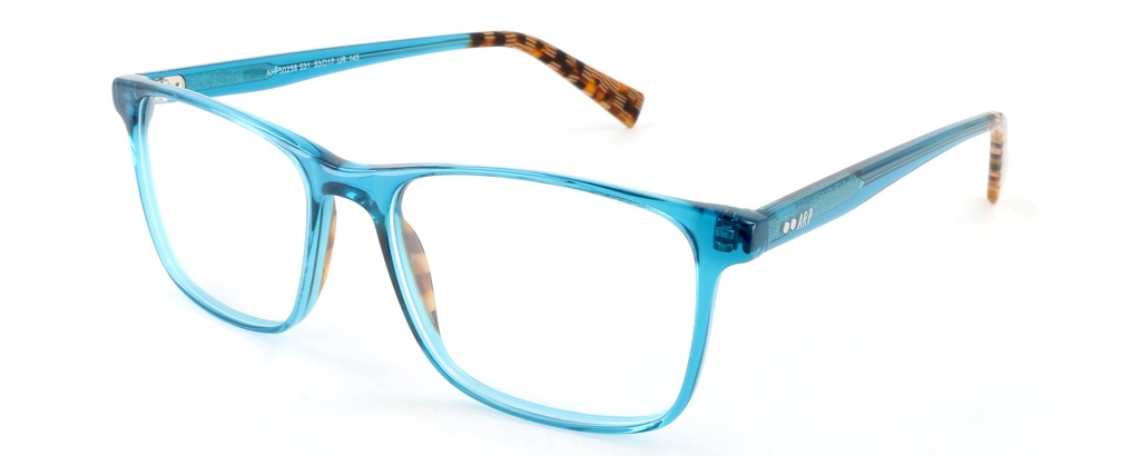 ARP Hombre RX* 50258 COL 531