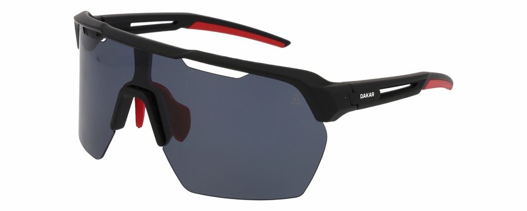 DAKAR SUN 10027 COL 613