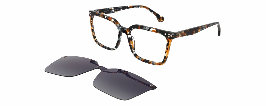 DAKAR Clip On L* 11032 COL 510