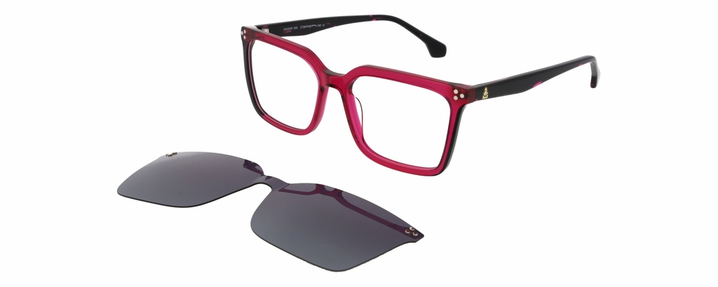 DAKAR Clip On L* 11032 COL 555