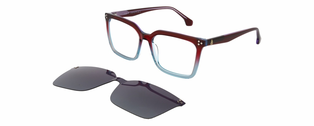 DAKAR Clip On L* 11032 COL 572