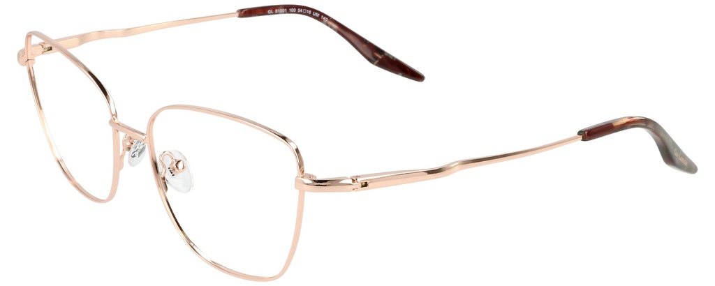 GUY LAROCHE Embleme RX* 81001 COL 100