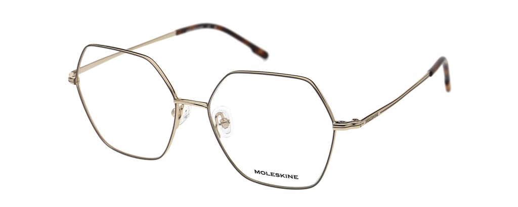 MOLESKINE RX* 2253 COL 29