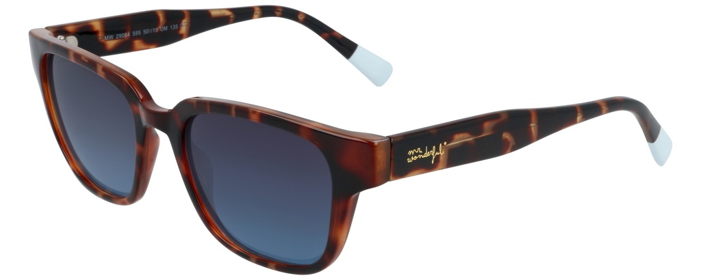 MR. WONDERFUL SUN  29064 COL 595