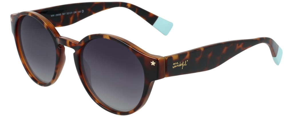 MR. WONDERFUL SUN  29065 COL 567