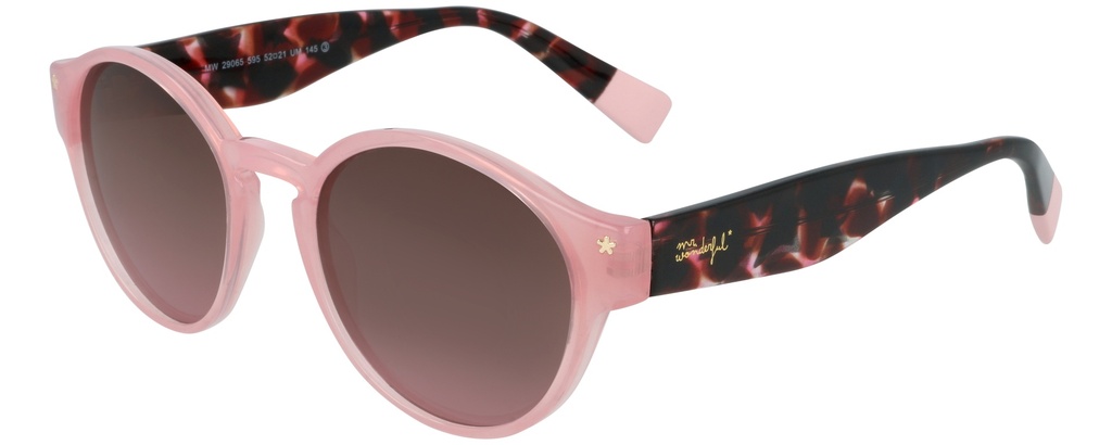 MR. WONDERFUL SUN  29065 COL 595