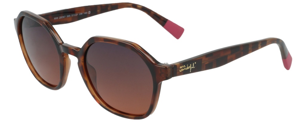 MR. WONDERFUL SUN  29067 COL 595