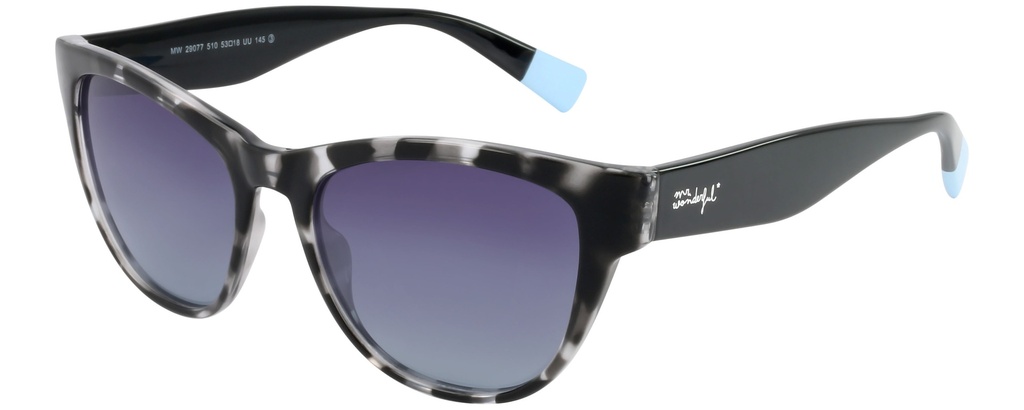 MR. WONDERFUL SUN  29077 COL 510