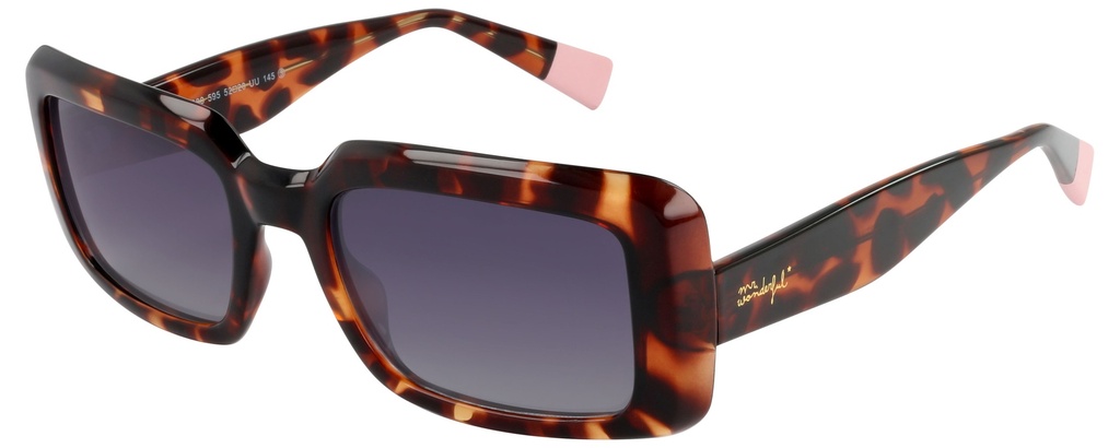 MR. WONDERFUL SUN  29080 COL 595