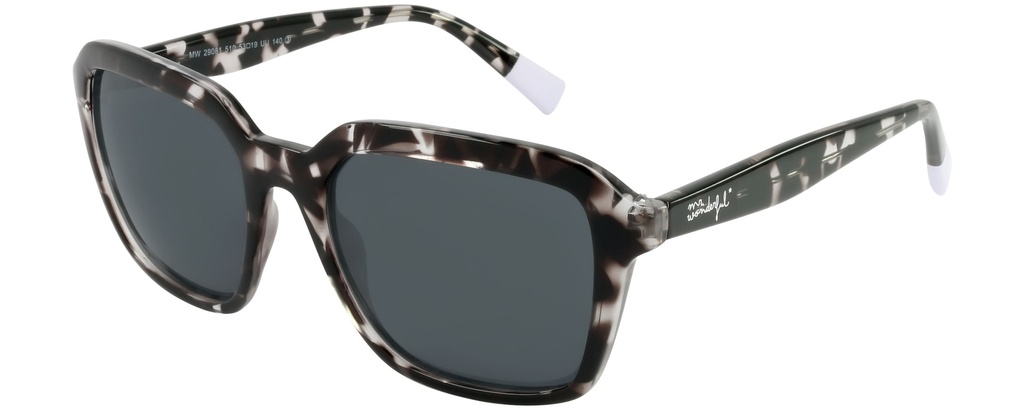 MR. WONDERFUL SUN  29081 COL 510