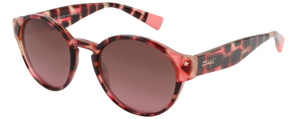 MR. WONDERFUL SUN  29087 COL 560