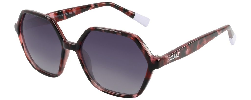 MR. WONDERFUL SUN  29088 COL 560