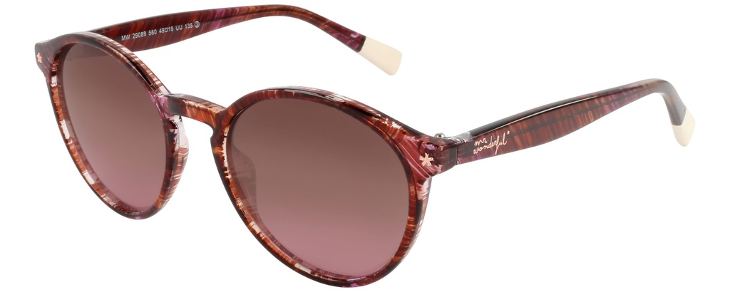 MR. WONDERFUL SUN  29089 COL 560