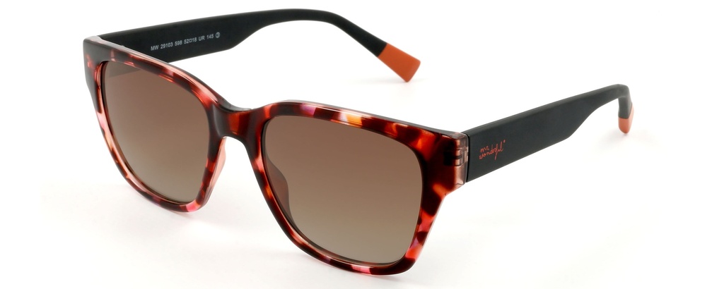 MR. WONDERFUL SUN  29103 COL 598