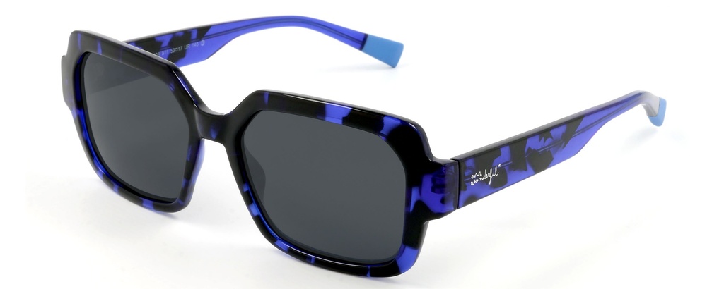 MR. WONDERFUL SUN  29108 COL 511