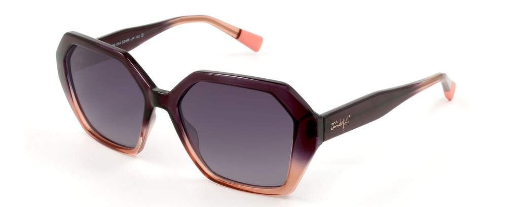 MR. WONDERFUL SUN  29109 COL 544