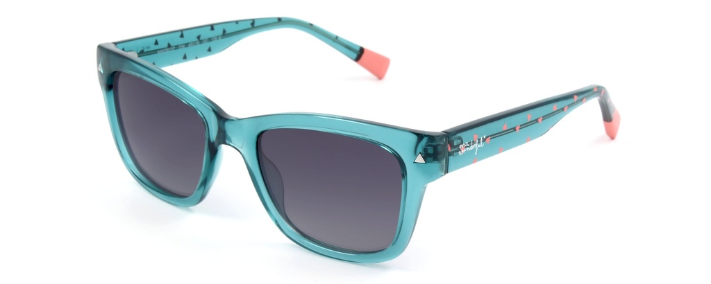 MR. WONDERFUL SUN  29137 COL 534