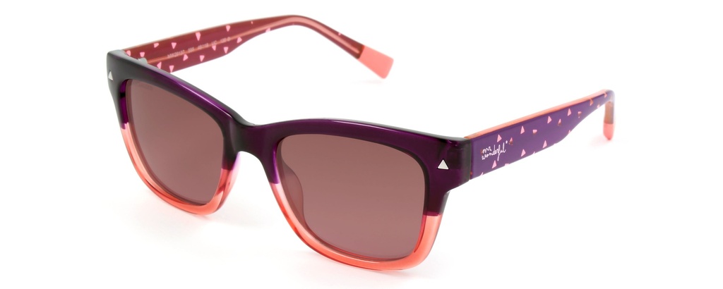 MR. WONDERFUL SUN  29137 COL 555