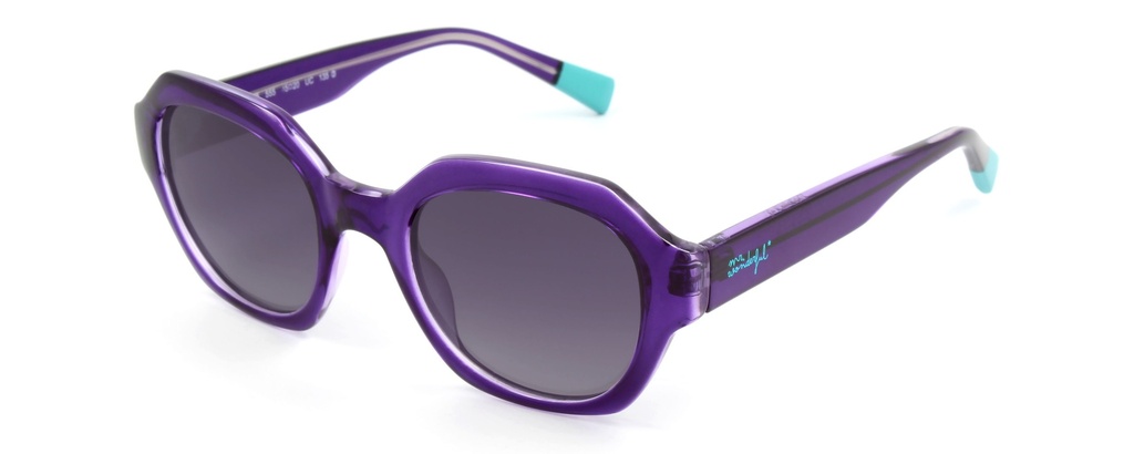 MR. WONDERFUL SUN  29139 COL 555