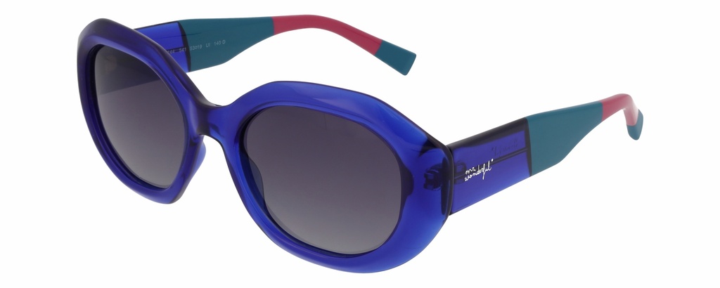 MR. WONDERFUL SUN  29144 COL 541