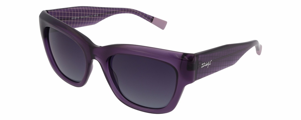 MR. WONDERFUL SUN  29148 COL 553