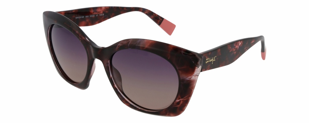 MR. WONDERFUL SUN  29149 COL 593