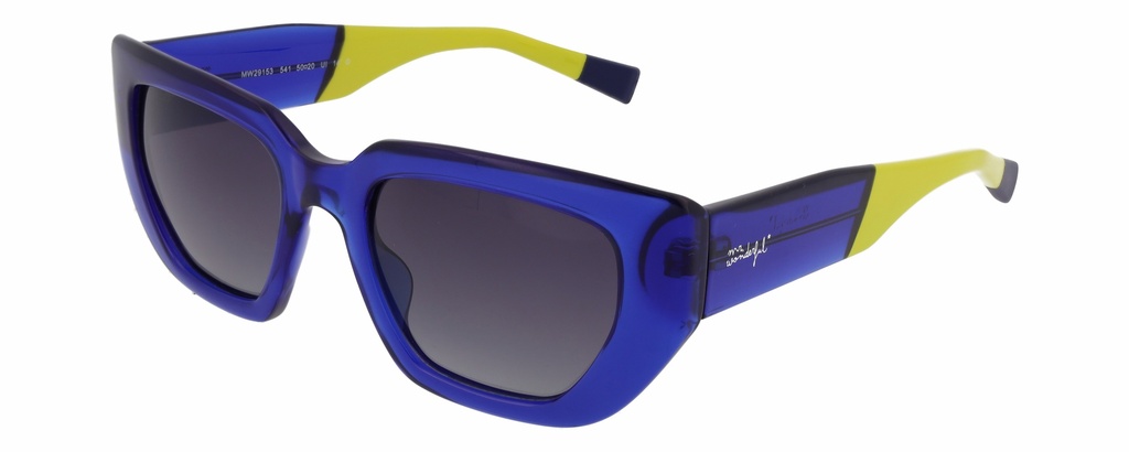 MR. WONDERFUL SUN  29153 COL 541