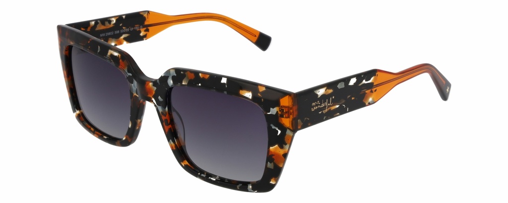 MR. WONDERFUL SUN  29802 COL 598