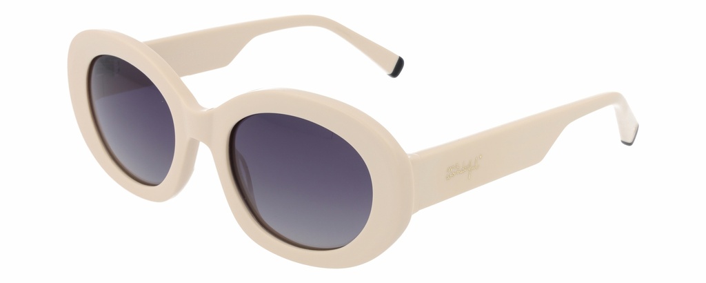 MR. WONDERFUL SUN  29805 COL 521