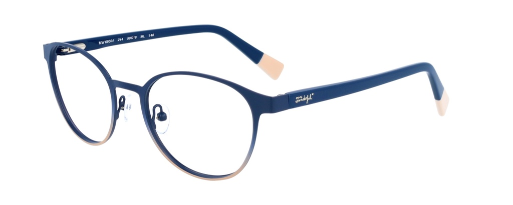 MR. WONDERFUL RX* 69004 COL 244