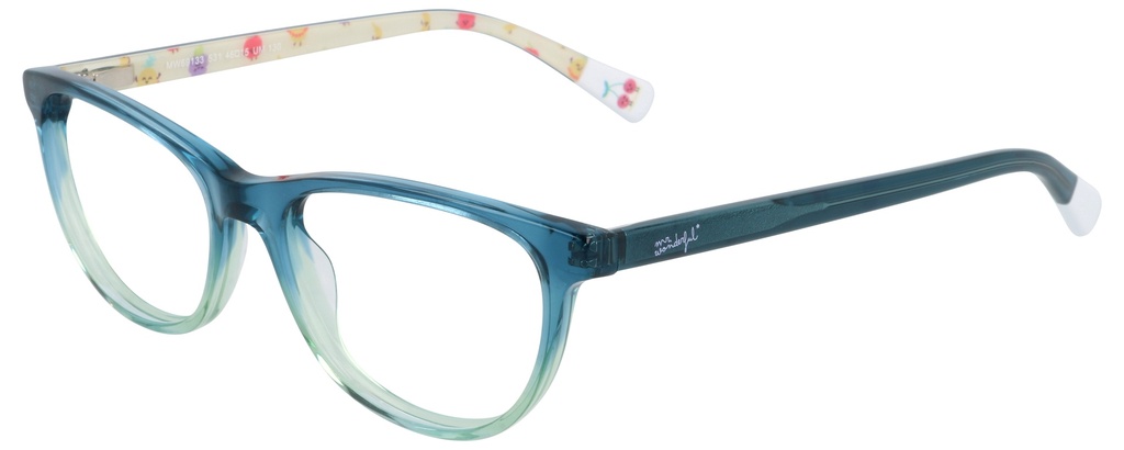 MR. WONDERFUL RX* 69133 COL 531