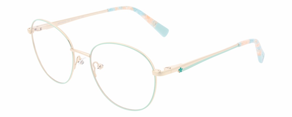 MR. WONDERFUL RX* 69242 COL 101