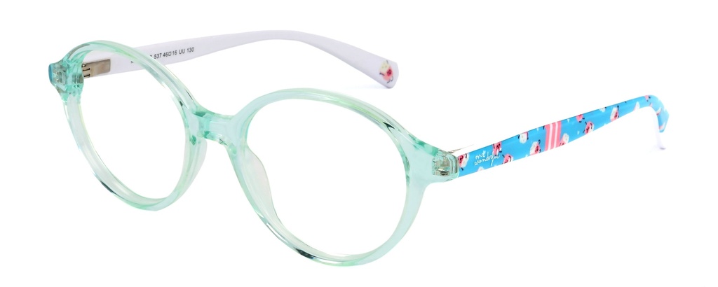 MR. WONDERFUL RX* 69828 COL 537