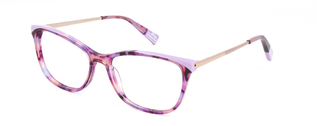 MR. WONDERFUL RX* 69834 COL 555