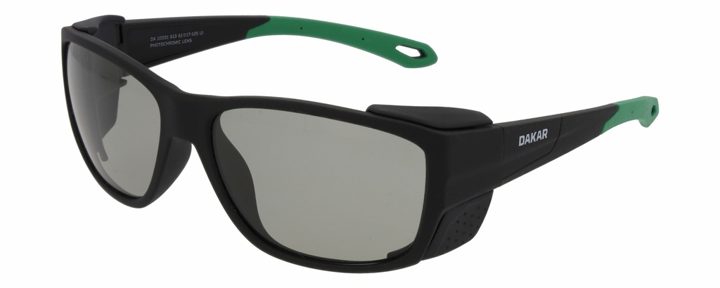 DAKAR SUN 10031 COL 613