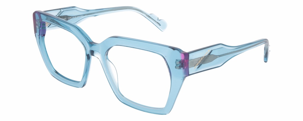 AGATHA R.P. LOOK RX* 88022 COL 531