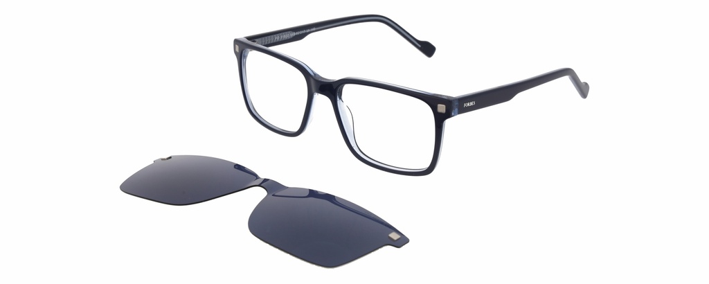 FORBES Clip On L* 51822 COL 543