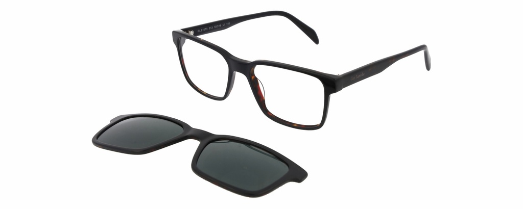 GUY LAROCHE Clip On A RX* 81073 COL 513