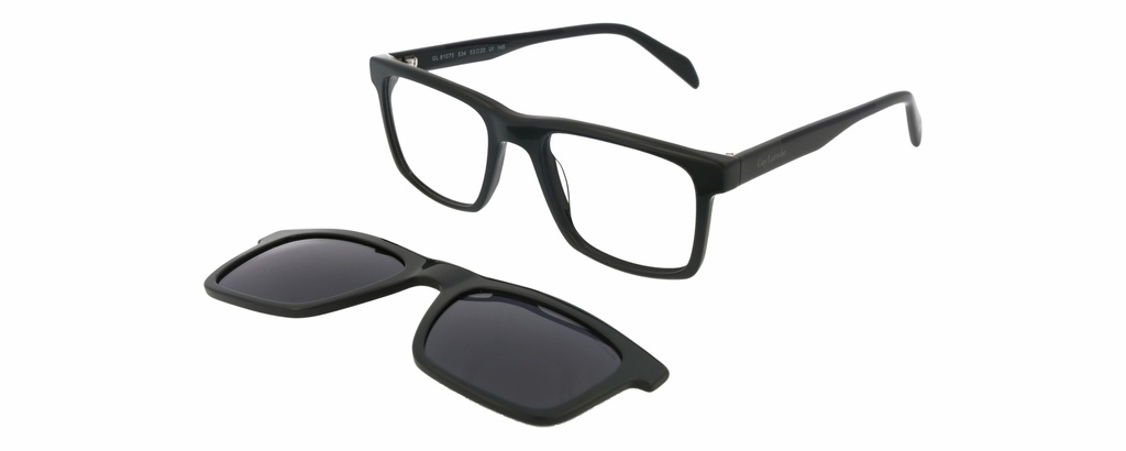 GUY LAROCHE Clip On A RX* 81075 COL 534