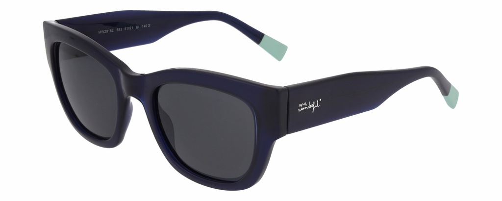 MR. WONDERFUL SUN  29162 COL 543