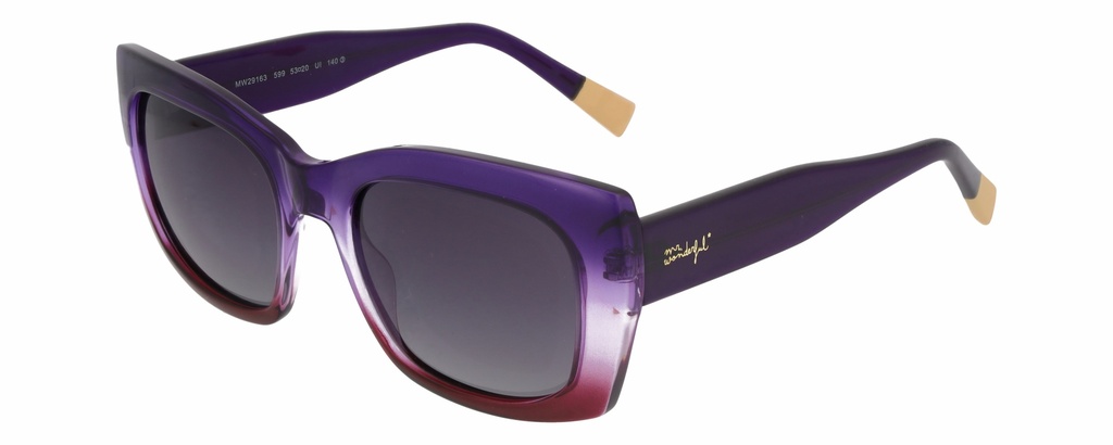 MR. WONDERFUL SUN  29163 COL 599