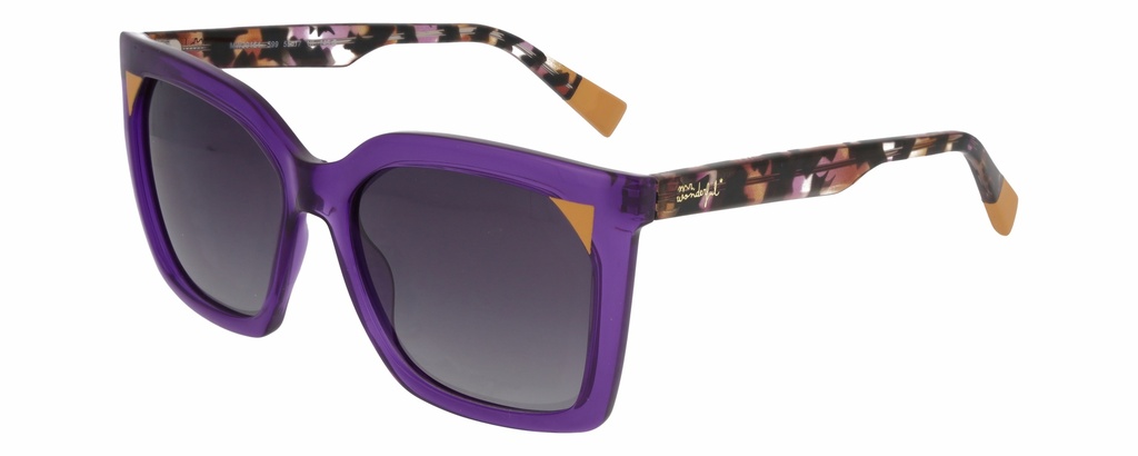 MR. WONDERFUL SUN  29164 COL 599