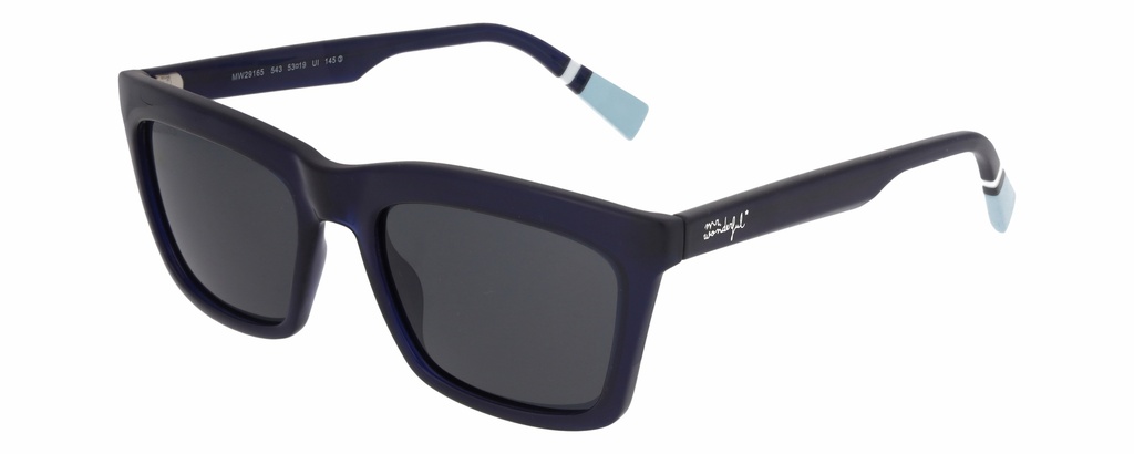 MR. WONDERFUL SUN  29165 COL 543