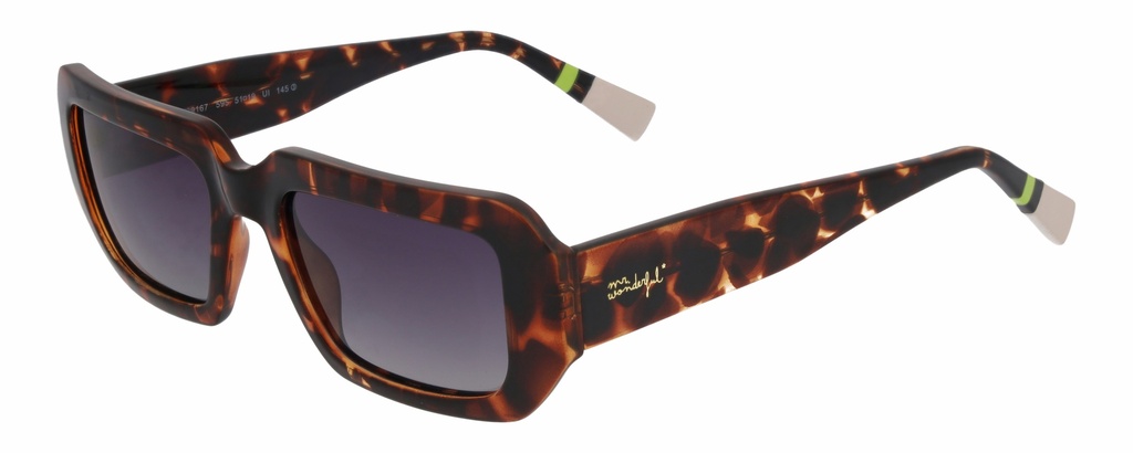 MR. WONDERFUL SUN  29167 COL 595