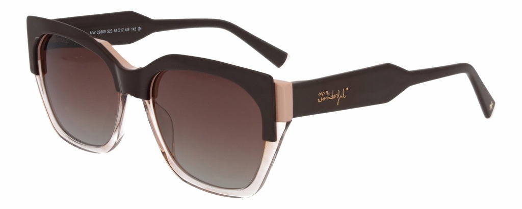 MR. WONDERFUL SUN  29809 COL 523