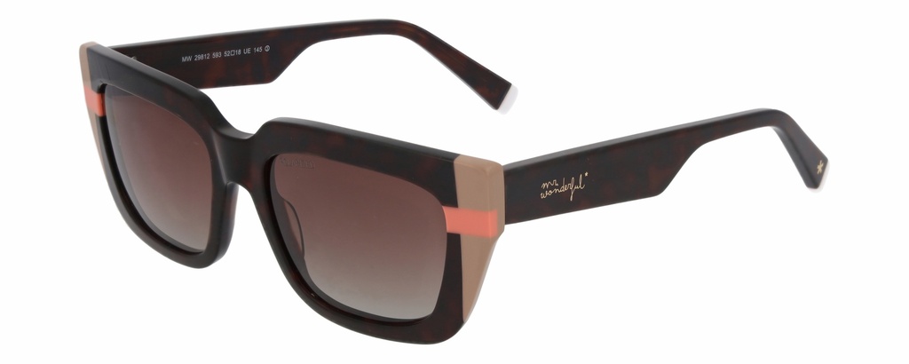 MR. WONDERFUL SUN  29812 COL 593