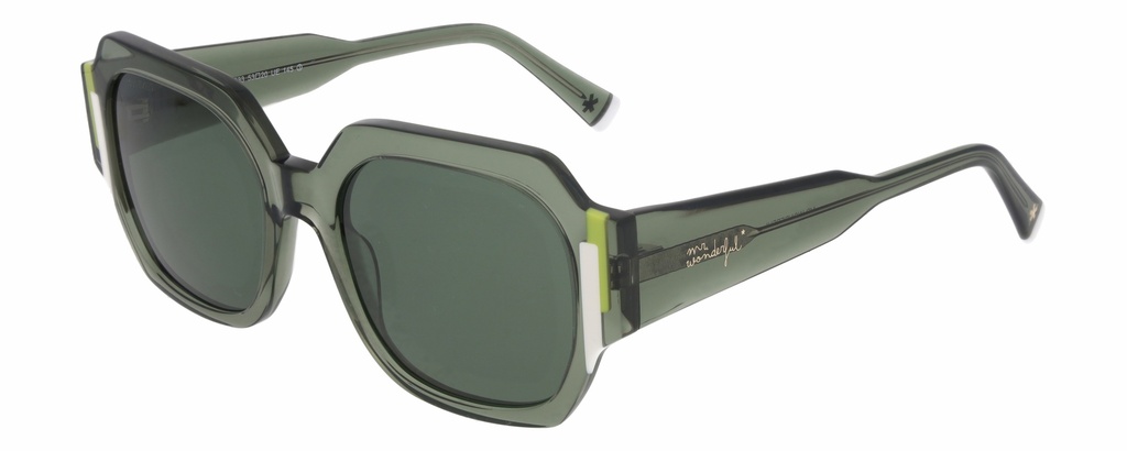 MR. WONDERFUL SUN  29813 COL 533