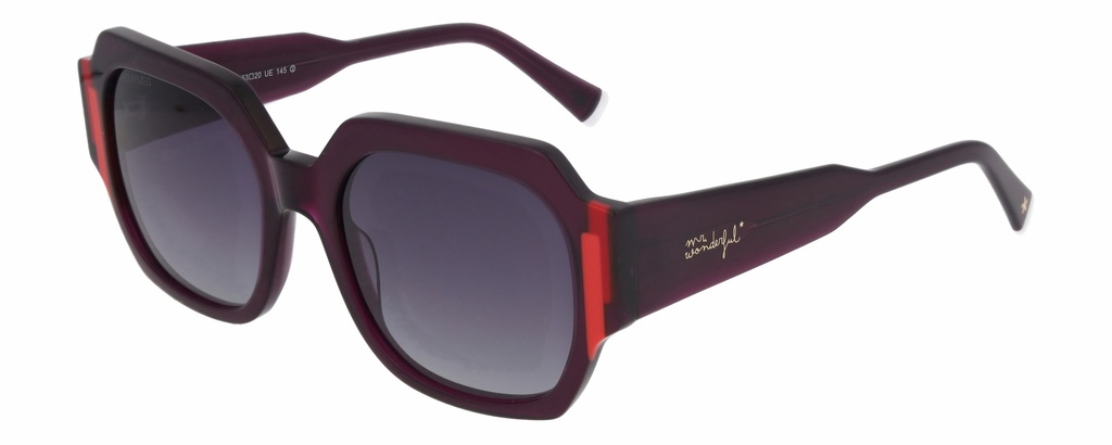 MR. WONDERFUL SUN  29813 COL 563