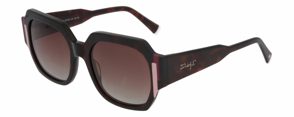 MR. WONDERFUL SUN  29813 COL 593