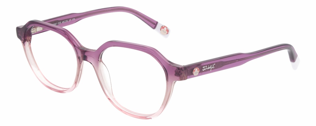 MR. WONDERFUL RX* 69861 COL 555